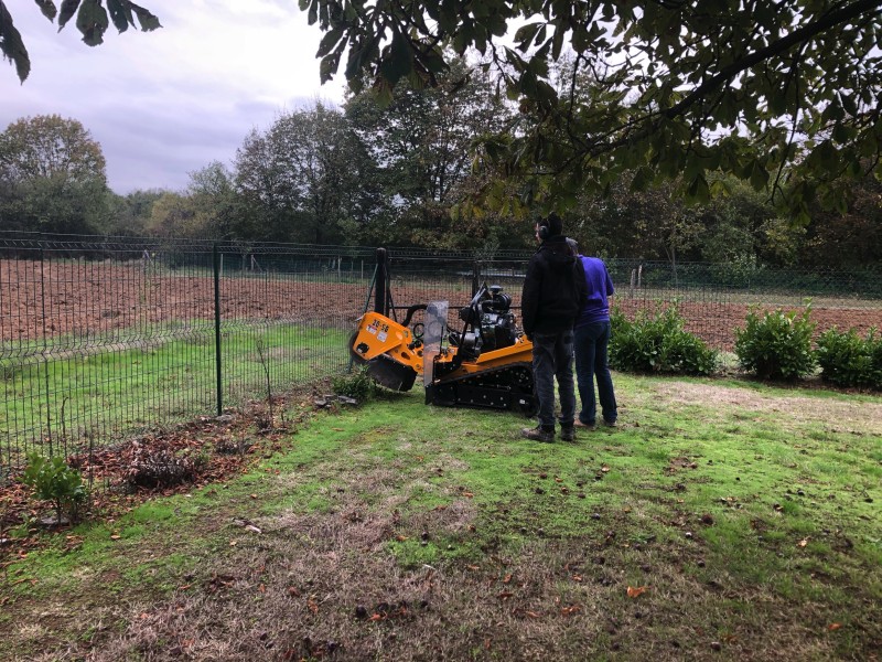 Rognage souche de haies