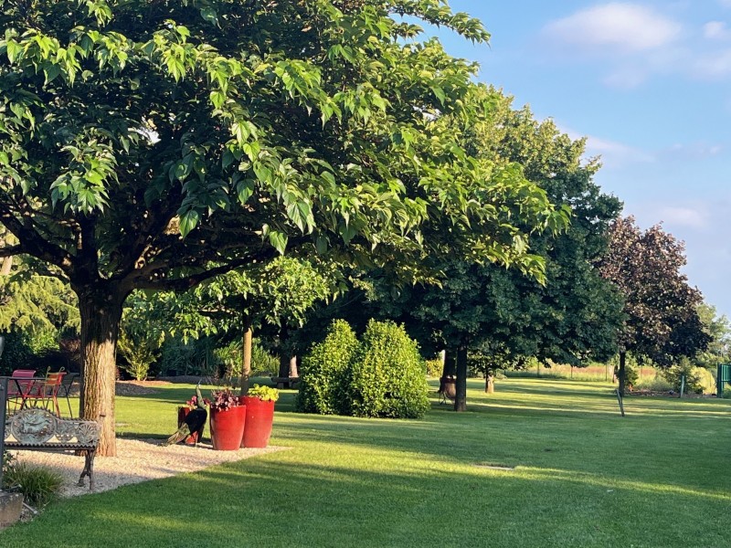 Tonte de pelouse à Villefranche-sur-Saône : entretien professionnel de votre jardin