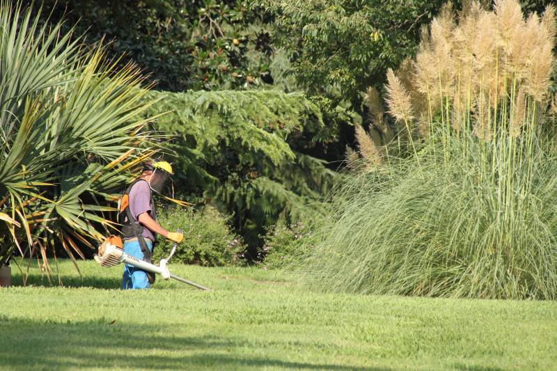 Services de jardinage pour l'entretien d'un jardin avec débroussaillage à Villefranche sur Saône et dans le Beaujolais