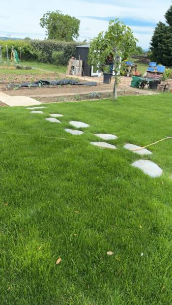 Pose de gazon naturel en rouleau  à Quincieux 