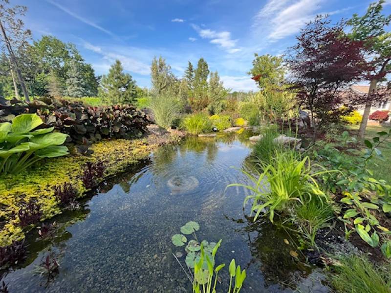 Création de jardin aquatique sur Villefranche