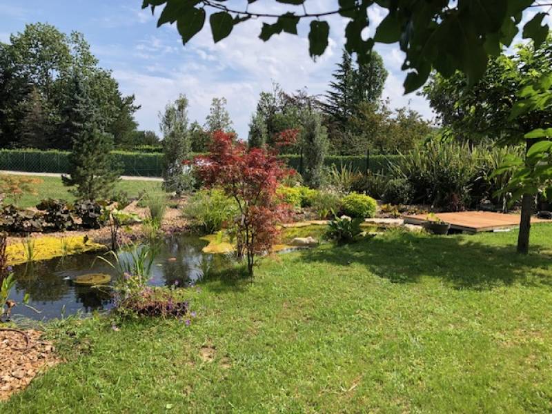 Bassin pour poissons dans les mont d'or