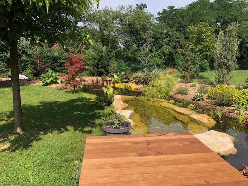 Bassin naturel et Ponton en bois dans le beaujolais
