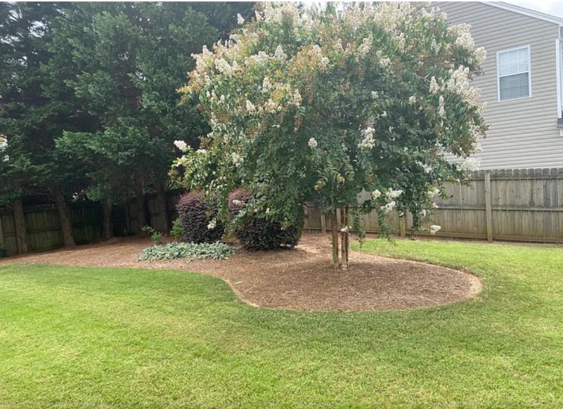 Tonte de pelouse à Villefranche-sur-Saône : entretien professionnel de votre jardin