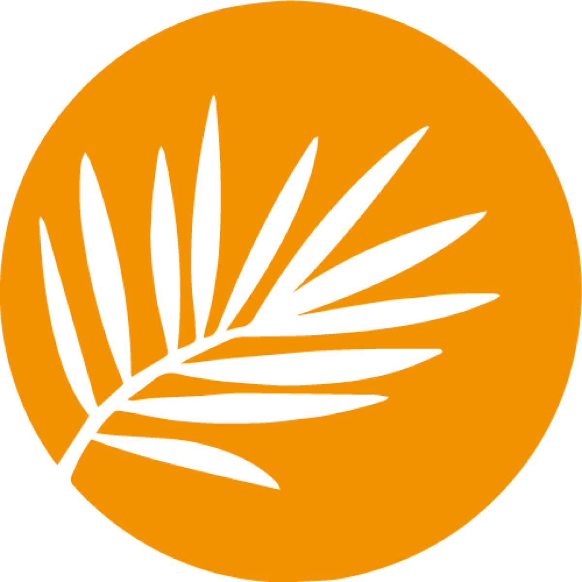 Conseil & accompagnement