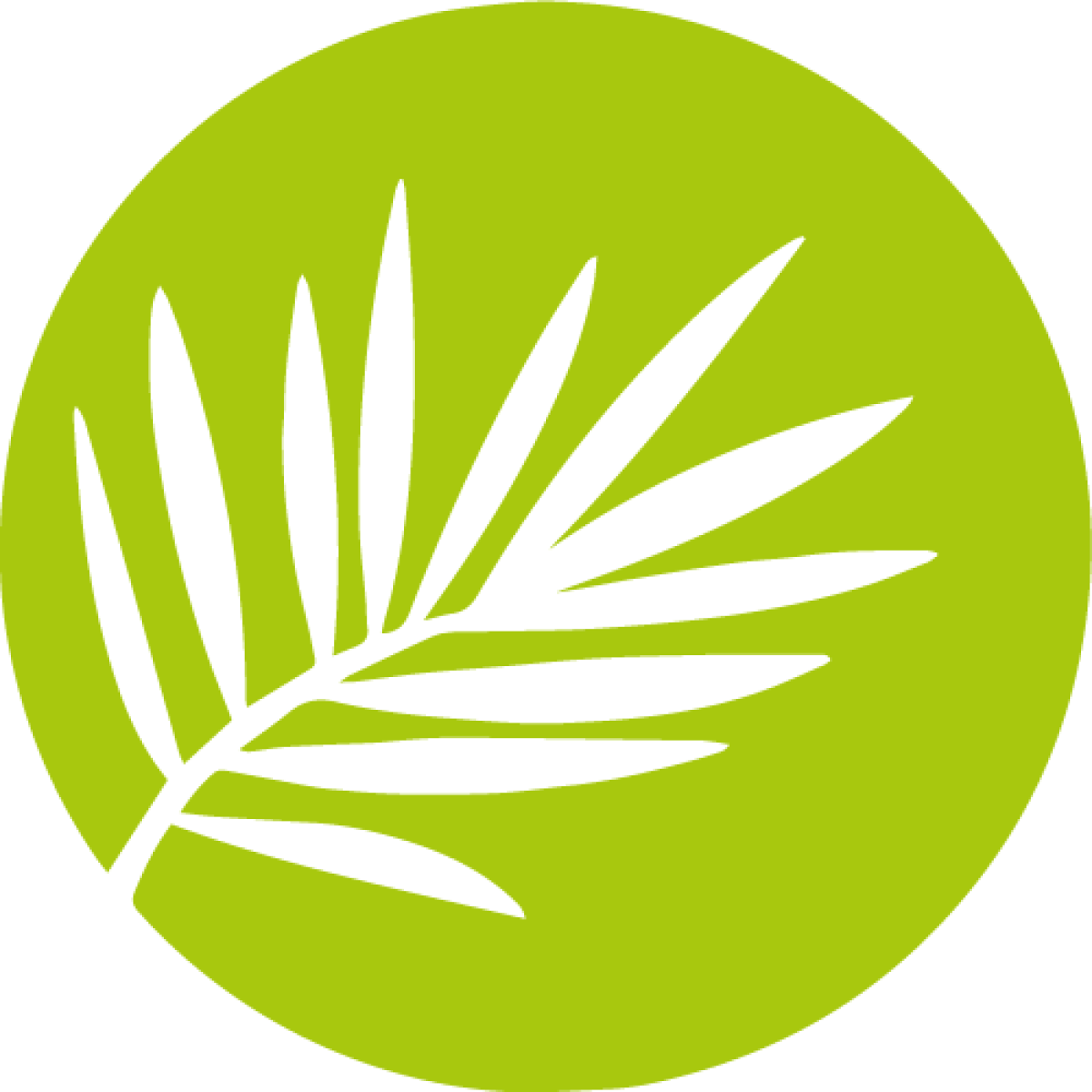 15 ans d'expérience